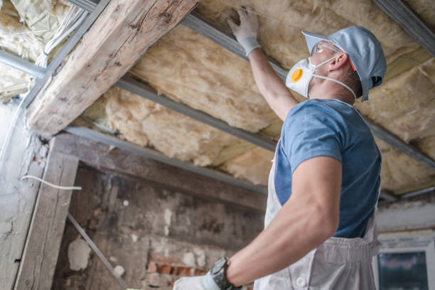 Best Geographic-Specific Insulation Services in Sparrow Bush, NY